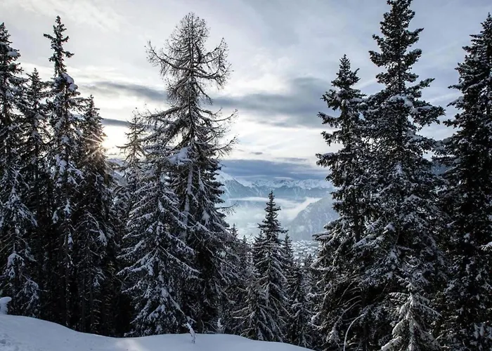 In La Tzoumaz Near Slopes 木屋