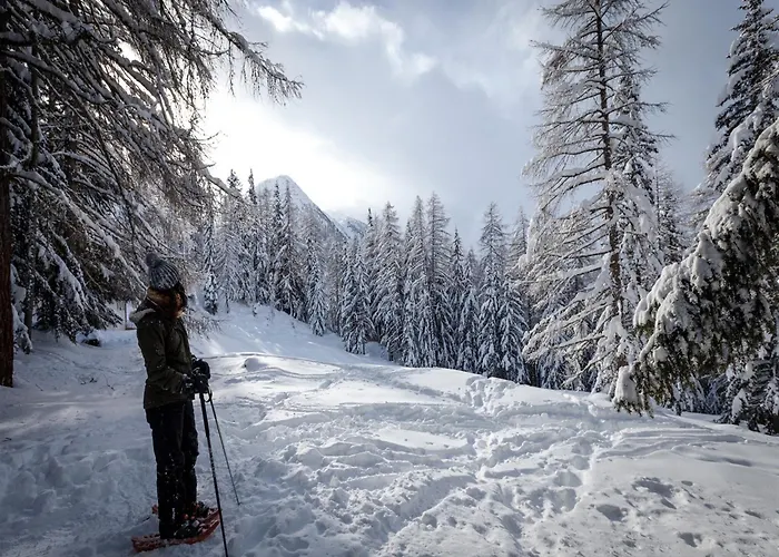 In La Tzoumaz Near Slopes 木屋 *